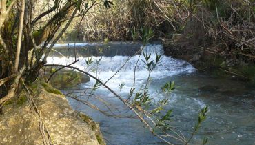 Fonte da Benémola (3)