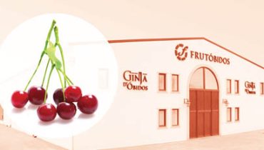 Frutobidos|Frutobidos