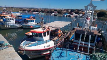Fuzeta_porto de pesca_er_06