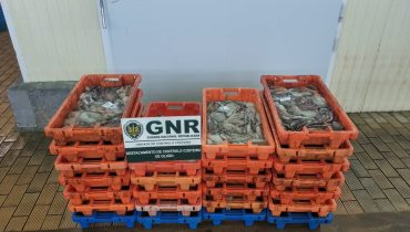 GNR UCC - Apreensão1