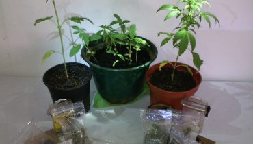 GNR apreende droga a autocaravanista em Salir