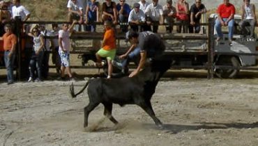 Garraiada