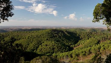Herdade da Contenda-Sul