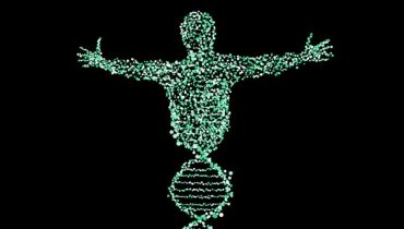 IMAGEM-Hereditariedade