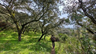 Imagem 1_21 Dez._QRER_Floresta