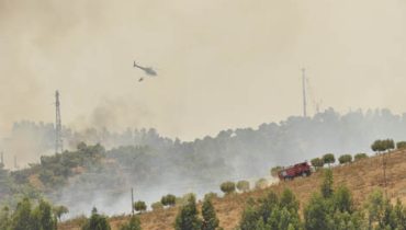 Incendio Cachopo