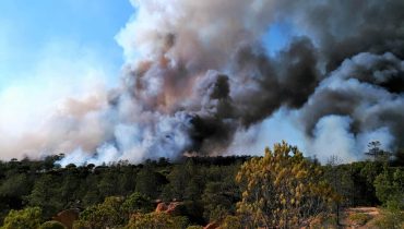 Incêndio Gambelas|decif faro cabrita e bacalhau|decif faro|eduardo cabrita decif faro|eduardo cabrita decif faro1|Vitor vaz pinto decif faro
