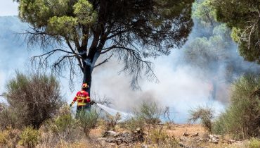 Incêndio Gambelas 13 de Julho_HR (20)