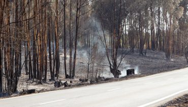 Incendio Odemira MC-48