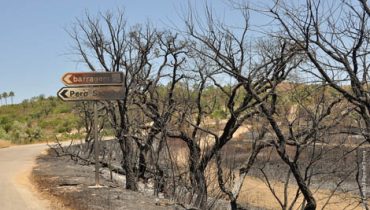 Incêndio de São Brás