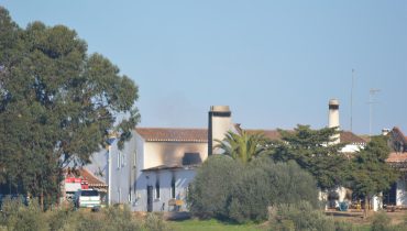 Incêndio mingorra