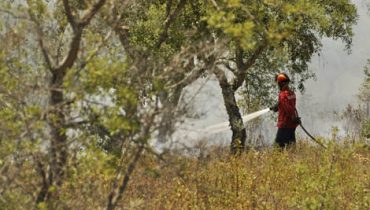 Incêndio no Cachopo
