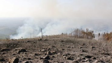 Incêndio_monchique_ni_06