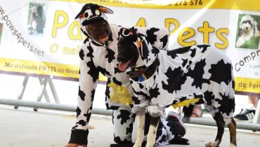 International Algarve Fair_01