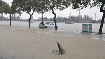 Foto: Samuel Mendonça | Folha de Domingo
