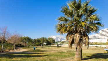 Jardim Vale Faro