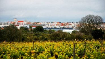 Lagoa Cidade do Vinho|tabela