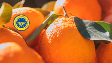 Laranja-Algarve-Continente-800x500_c