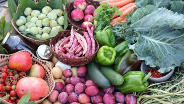 Legumes_Frutas_Agricultura_Dieta Mediterrânica_In Loco (3)|CIMBAL_1 (1)|CIMBAL_1 (2)|CIMBAL_1 (3)