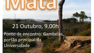 Limpar a Mata