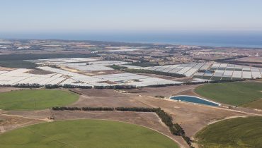 Rio Mira na Zona da Casa Branca em S. Luís|SOS_ALENTEJOEALGARVE_CARTAZPROPOSTA