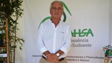 Luis Mesquita Dias