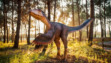 Dinossauros Lourinhã|Vale dos Dinossauros Albufeira Cartaz|_MG_9591|_MG_9435|_MG_9414