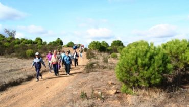 Marcha Passeio
