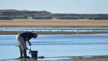 Mariscadores na Ria de Alvor_02