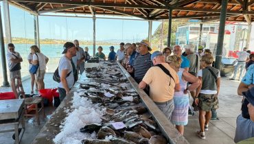 Mercadinho de Peixe Alvor (1)