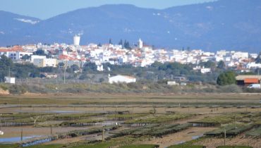 Mexilhoeira Grande_vista da Ria de Alvor_02