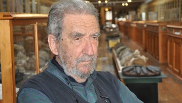 Miguel Magalhães Ramalho