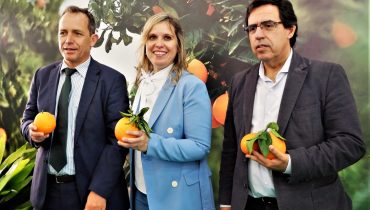 Mostra silves Capital da Laranja 2020