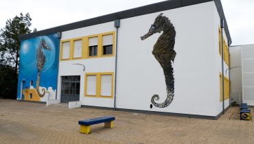 Mural Cavalo Marinho SEN João da Rosa rd-4|sen graffity rd-18