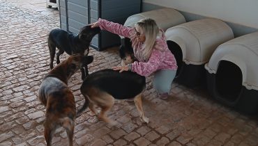 Nino_Lord_Luna_adotados_com_apoio_Vale_Mais_Animal (t)