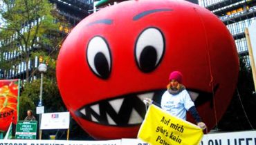 No Patents on Seeds