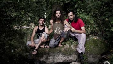 Olive Tree Dance