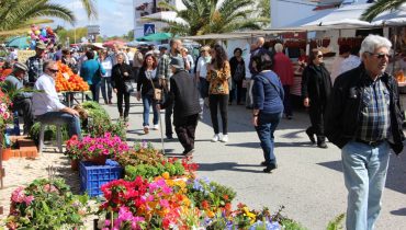 Passeio fotografico_mercado Castro Marim