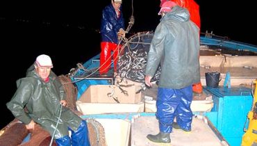 Pesca da sardinha1