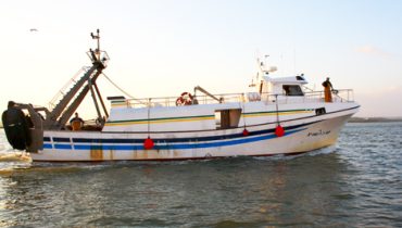 Pescas