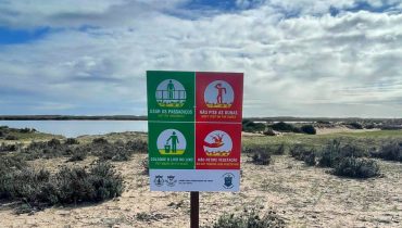 Placas nas dunas da culatra e deserta_4|Placas nas dunas da culatra e deserta_1|Placas nas dunas da culatra e deserta_2|Placas nas dunas da culatra e deserta_3|Placas nas dunas da culatra e deserta_5
