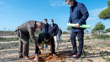 Plano Gestão Florestal Ancão_HR (11)|Vítor aleixo|Alejandro Martins Empresário árvores Ancão (1)|António Miranda INCF_HR (3)|Plano Gestão Florestal Ancão_HR (3)