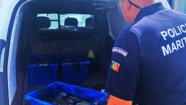 Polícia Marítima apreende 110kg de polvo em Tavira