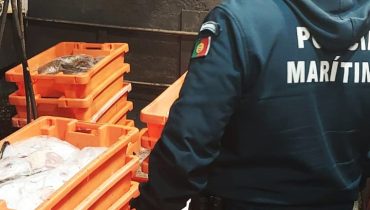 Polícia Marítima apreende 430kg de tamboril no porto de Pesca do Arade em Lagoa