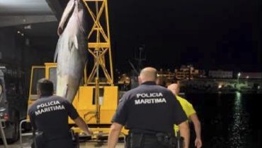 Polícia Marítima apreende atum com 300kg no rio Gilão em Tavira