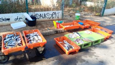 Polícia Marítima realiza ação de fiscalização conjunta no Algarve (1)