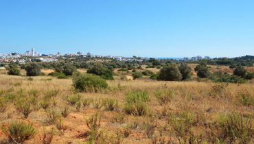 Portimao_terreno para campus UAlg_01