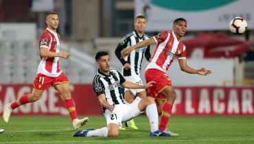 Portimonense - Aves - Nelson Inacio (1)|Portimonense - Aves - Nelson Inacio (2)|Portimonense - Aves - Nelson Inacio (2)|Portimonense - Aves - Nelson Inacio (3)|Portimonense - Aves - Nelson Inacio (4)|Portimonense - Aves - Nelson Inacio (5)|Portimonense - Aves - Nelson Inacio (1)