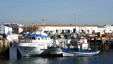 Porto Pesca Olhão 3|Porto Pesca Olhão 2