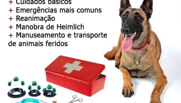 Primeiros Socorros para Animais_destaque|Primeiros Socorros para Animais